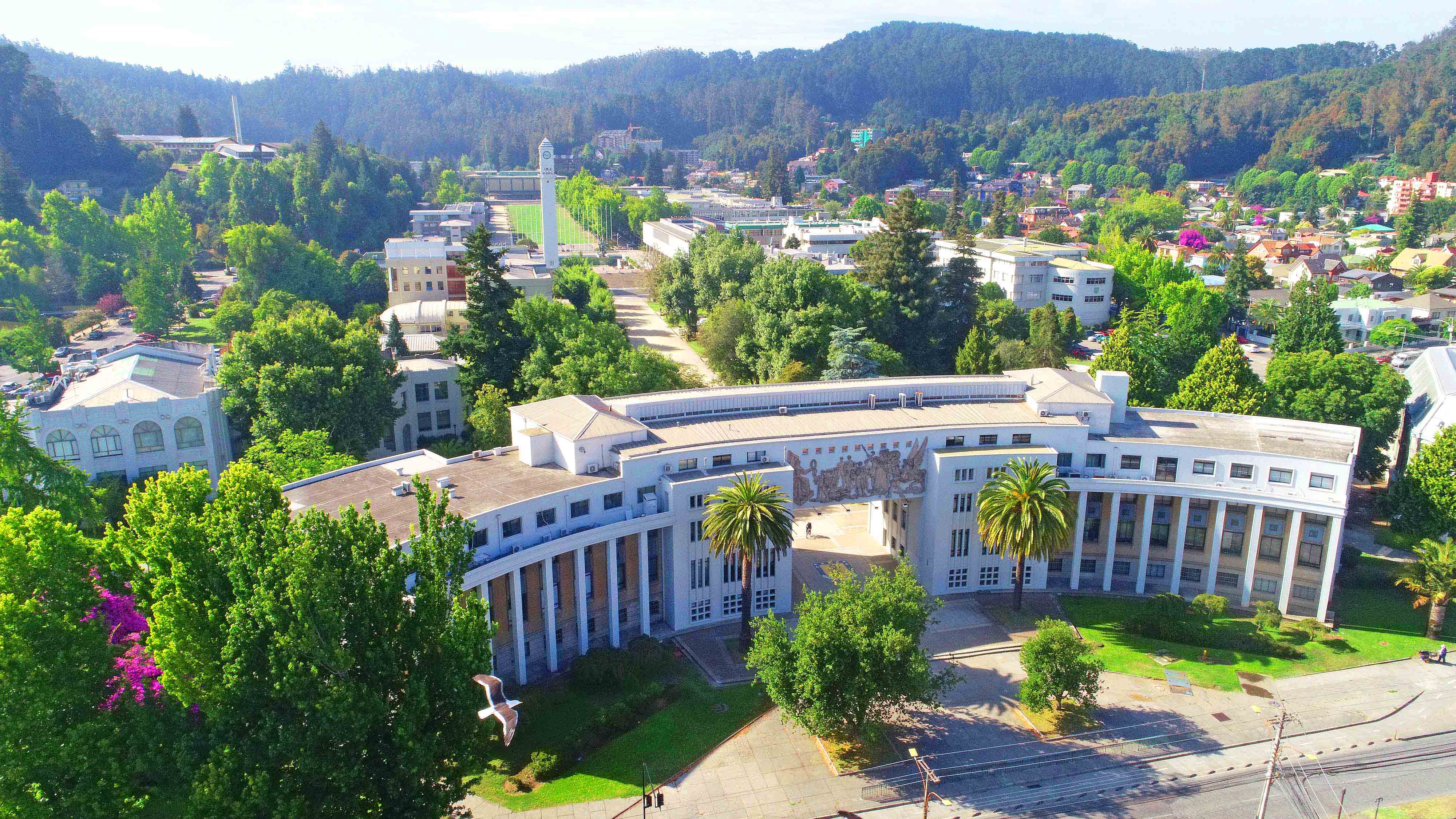 Vista aérea del Arco de Medicina, Universidad de Concepción